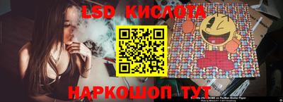 твердый Гусев