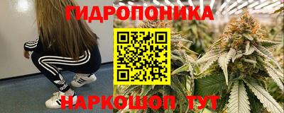 твердый Гусев
