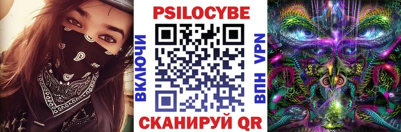 Псилоцибиновые грибы мицелий  Ростов-на-Дону 